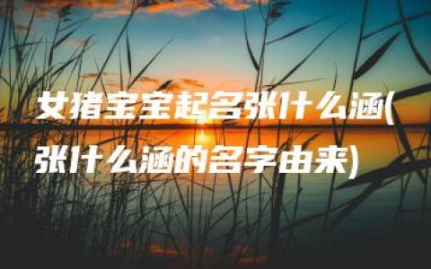 女猪宝宝起名张什么涵(张什么涵的名字由来)