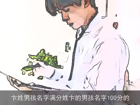 卞姓男孩名字满分姓卞的男孩名字100分的