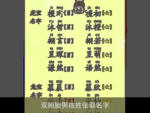 双胞胎男孩姓张取名字