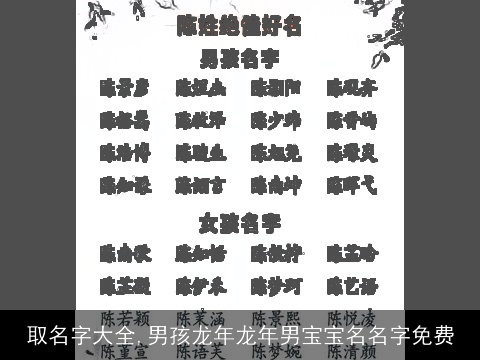 取名字大全,男孩龙年龙年男宝宝名名字免费