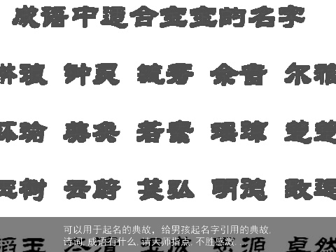 可以用于起名的典故，给男孩起名字引用的典故,诗词,成语有什么,请大师指点,不胜感激...