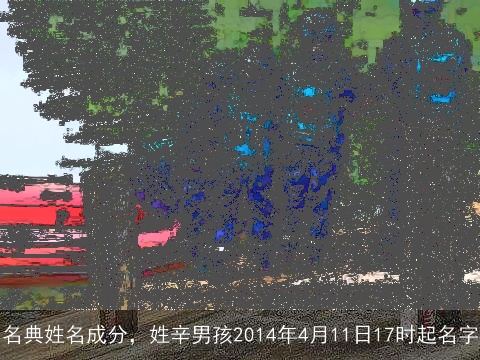 名典姓名成分，姓辛男孩2014年4月11日17时起名字