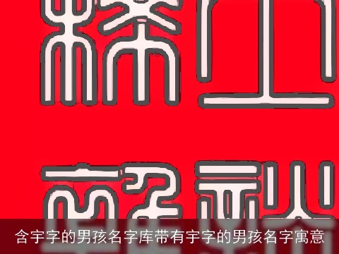 含宇字的男孩名字库带有宇字的男孩名字寓意