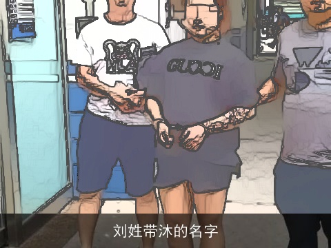 刘姓带沐的名字