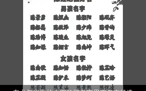 在龙年出生的小男孩取名宜用字名字精选