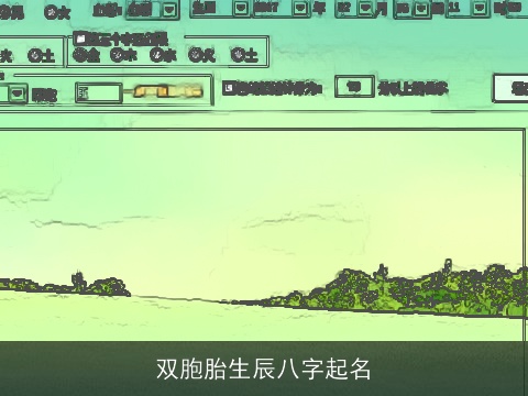 双胞胎生辰八字起名