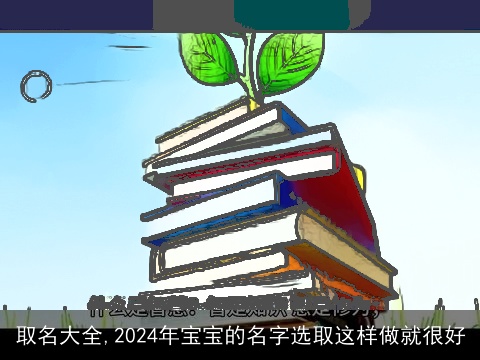 取名大全,2024年宝宝的名字选取这样做就很好