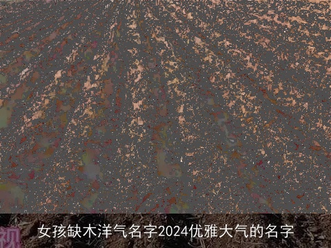 女孩缺木洋气名字2024优雅大气的名字