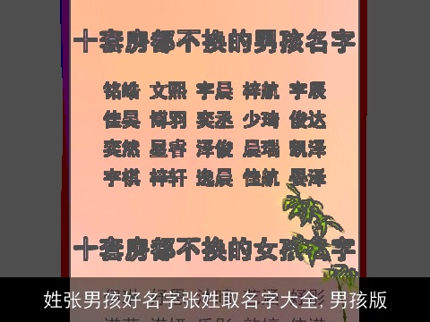 姓张男孩好名字张姓取名字大全,男孩版