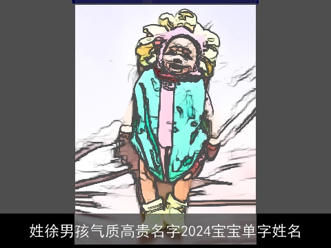 姓徐男孩气质高贵名字2024宝宝单字姓名