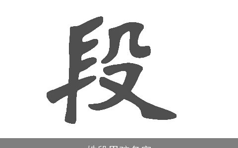 姓段男孩名字