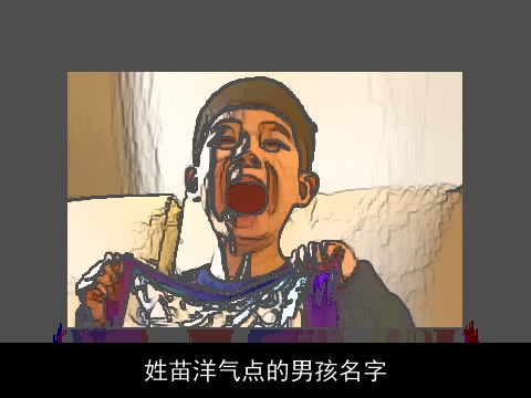 姓苗洋气点的男孩名字