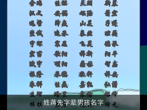 姓蒋先字辈男孩名字