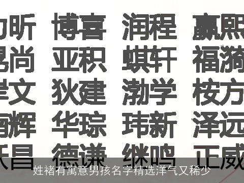 姓褚有寓意男孩名字精选洋气又稀少