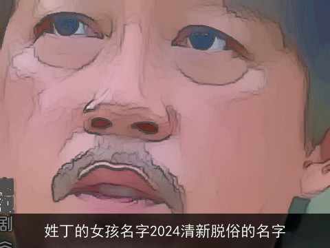 姓丁的女孩名字2024清新脱俗的名字