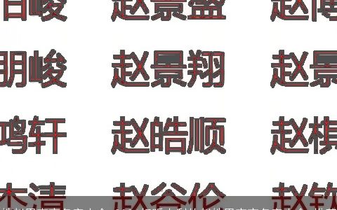 姓赵男宝宝名字大全,2024好听吉利的赵姓男宝宝名字大全,推荐