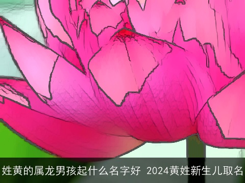 姓黄的属龙男孩起什么名字好 2024黄姓新生儿取名