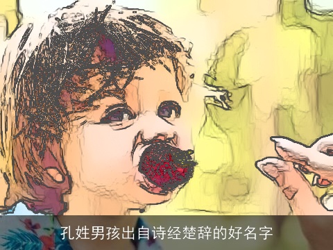 孔姓男孩出自诗经楚辞的好名字