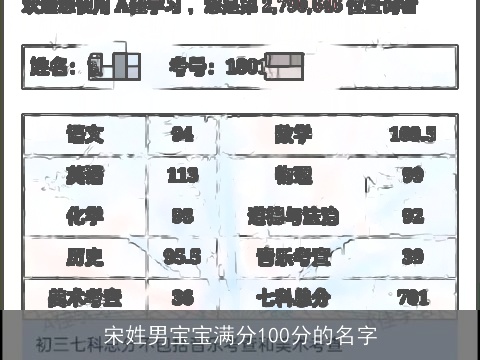 宋姓男宝宝满分100分的名字