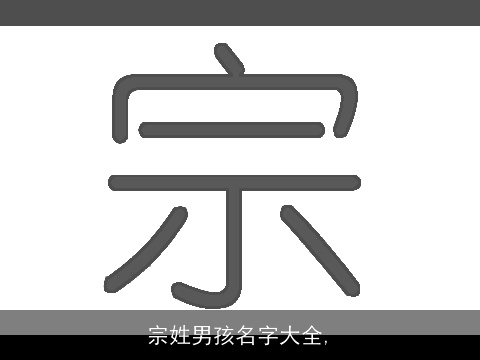 宗姓男孩名字大全,