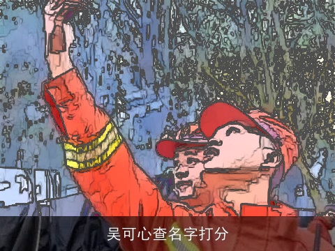 吴可心查名字打分