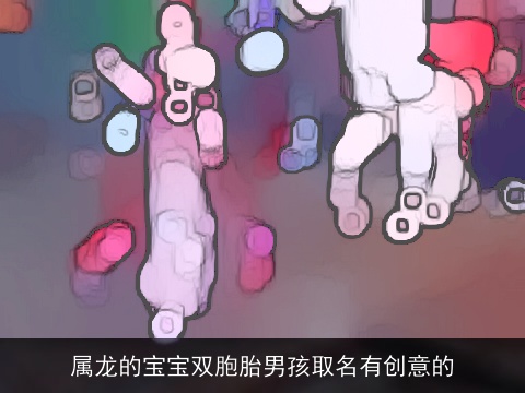 属龙的宝宝双胞胎男孩取名有创意的