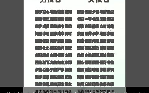 四柱八字取名大全,时柱巳时是几点2024有涵养洋气的时姓八字名字