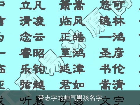 带志字的帅气男孩名字