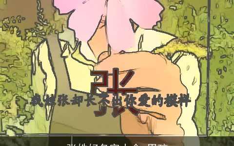 张姓好名字大全,男孩