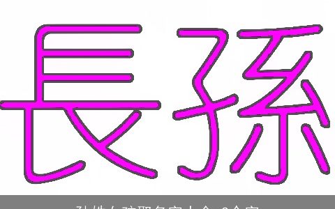 孙姓女孩取名字大全,2个字