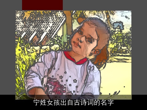 宁姓女孩出自古诗词的名字