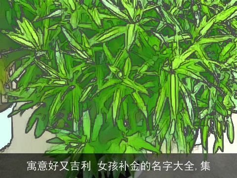 寓意好又吉利 女孩补金的名字大全,集