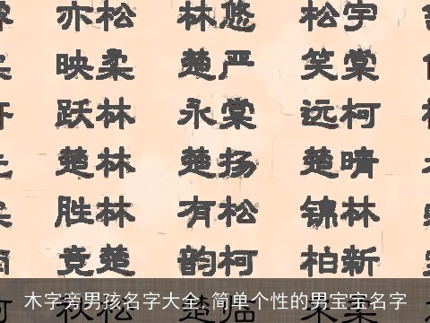 木字旁男孩名字大全,简单个性的男宝宝名字