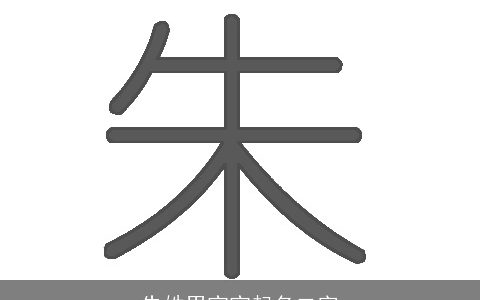 朱姓男宝宝起名二字