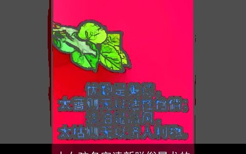 小女孩名字清新脱俗属龙的