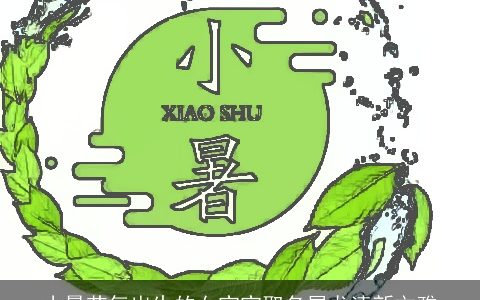 小暑节气出生的女宝宝取名属龙清新文雅