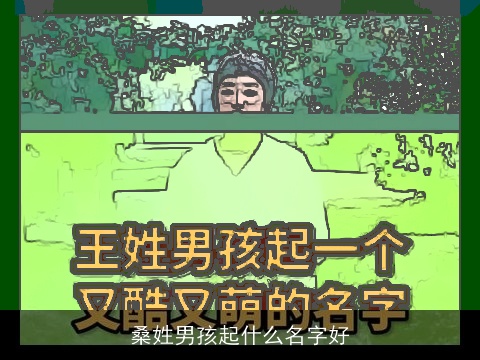 桑姓男孩起什么名字好