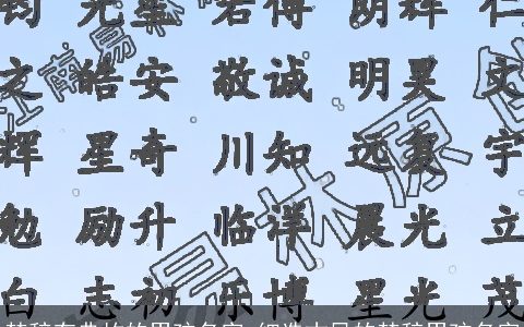 楚辞有典故的男孩名字_细选古风的楚辞男孩名字