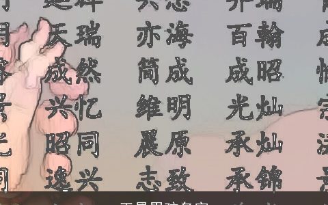 王易男孩名字