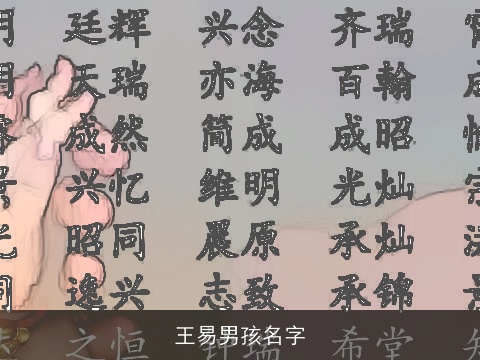 王易男孩名字