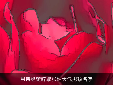 用诗经楚辞取张姓大气男孩名字