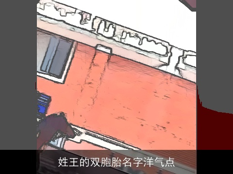 姓王的双胞胎名字洋气点