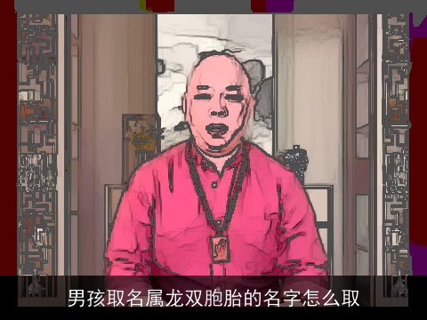 男孩取名属龙双胞胎的名字怎么取