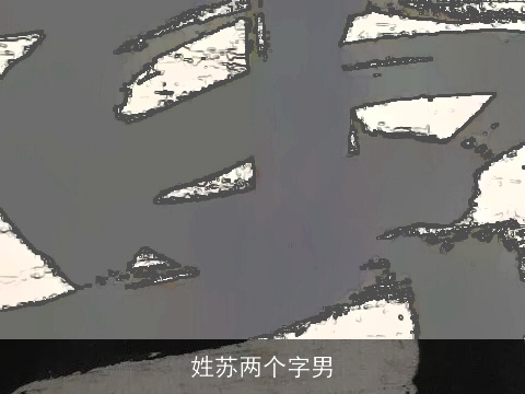 姓苏两个字男