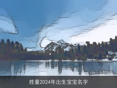 姓董2024年出生宝宝名字