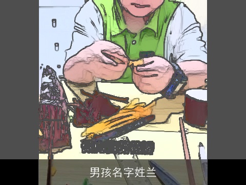 男孩名字姓兰