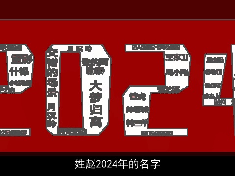 姓赵2024年的名字