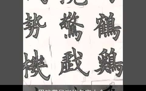 男孩带华字的名字大全,