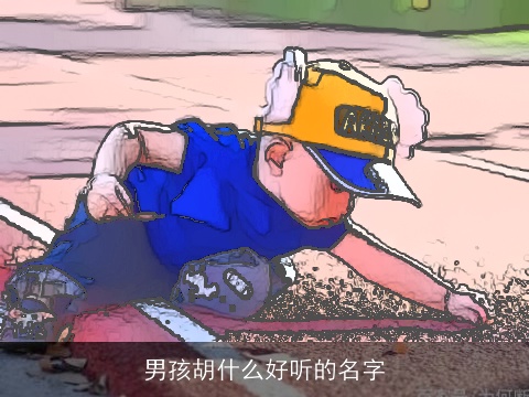 男孩胡什么好听的名字