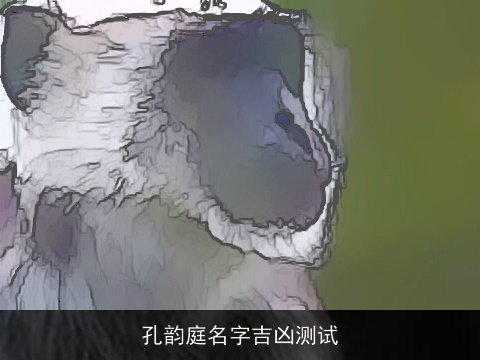 孔韵庭名字吉凶测试